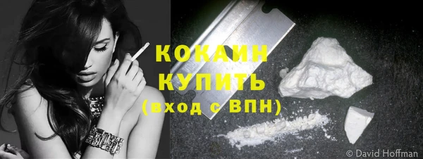 сатива Нефтекумск