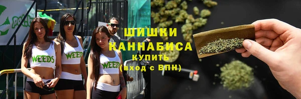 сатива Нефтекумск