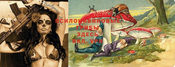 спиды Нея
