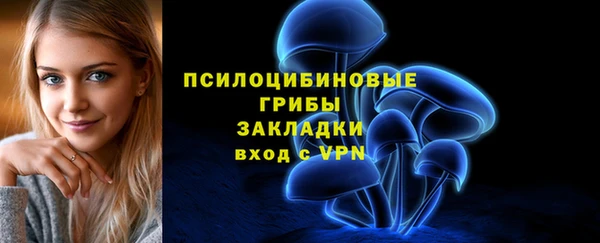 сатива Нефтекумск