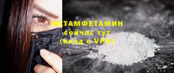 сатива Нефтекумск