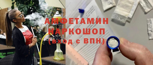 сатива Нефтекумск
