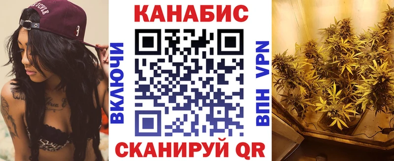 Каннабис сатива  Купить где  Стерлитамак 